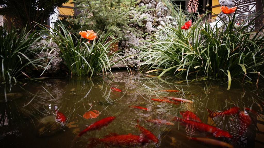 Lijiang Wangjia Courtyard Inn Eksteriør bilde